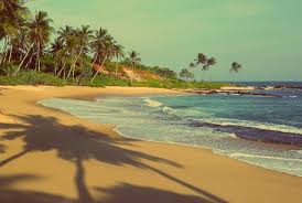 GOA Tour