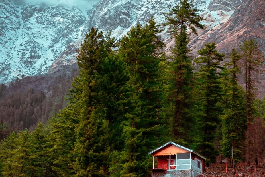 Himachal Tour